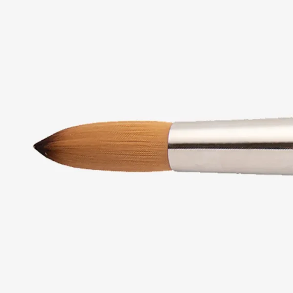 Cotman Brush Round Short Handle Series 111 No.24