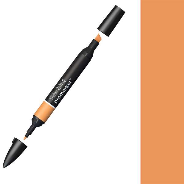 Promarker Ginger